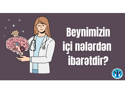 Beyin və onun hissələri